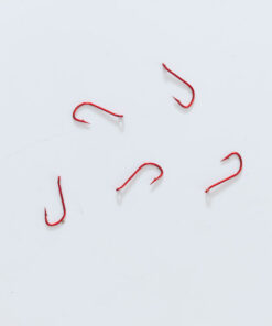Owner Penny Hook